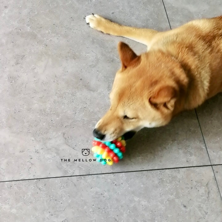 Anti Bad Breath Ball
