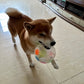 Calming Ball