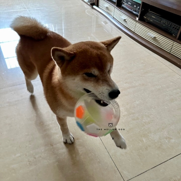 Calming Ball