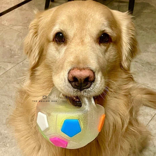 Calming Ball