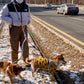 Bubblegum Leash