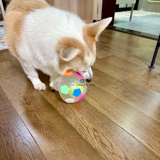 Calming Ball
