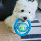 Frisball