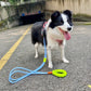 Bubblegum Leash