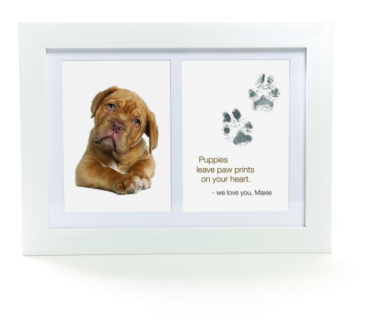 PawPrint - Kit d'empreintes pour animaux – Puppy Line Store