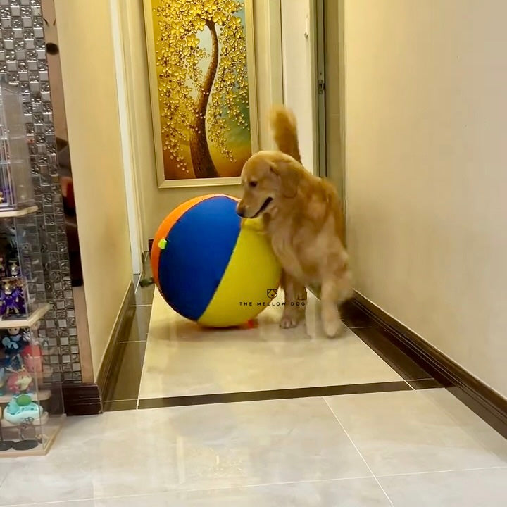 Calming Jumbo Ball