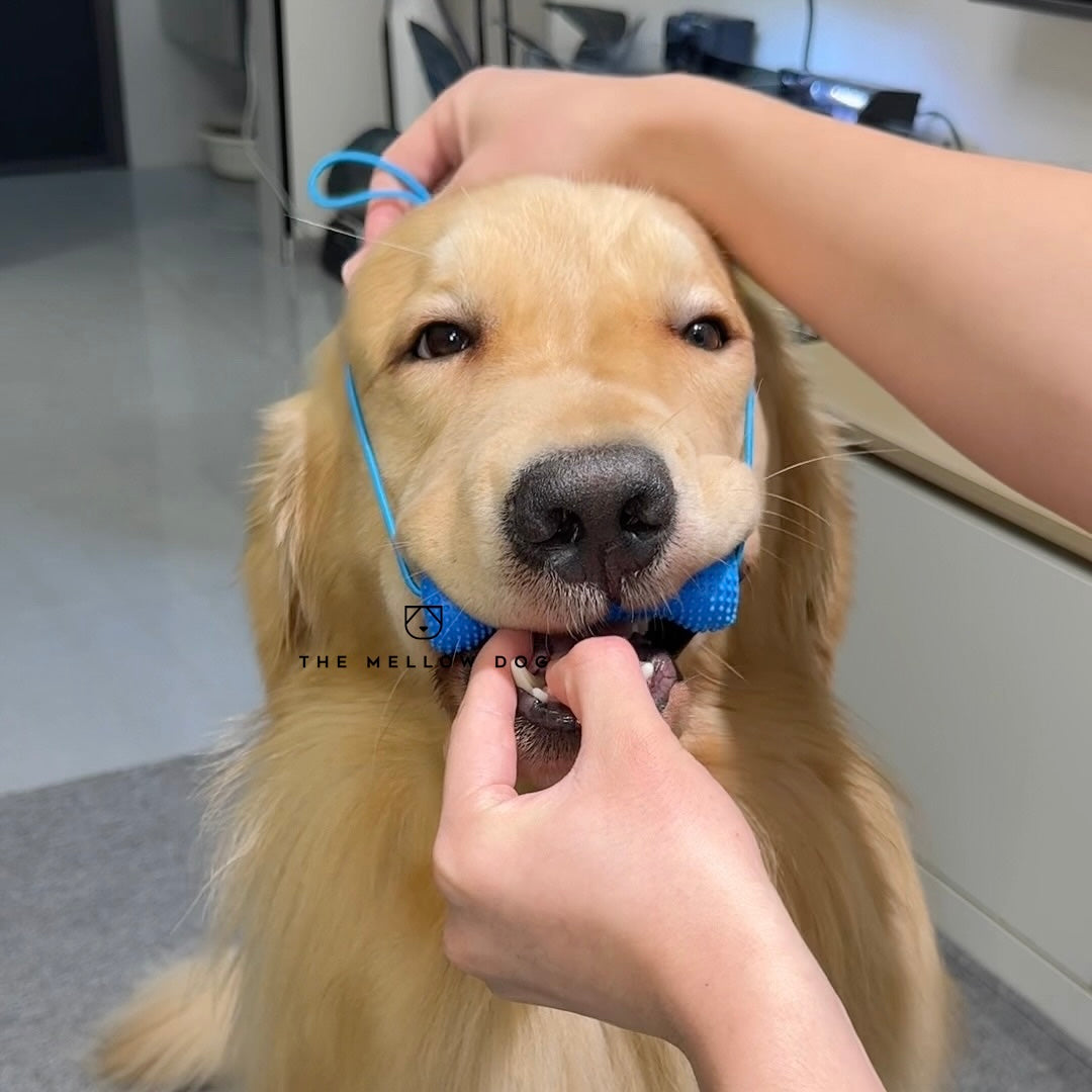 Calming Assistant