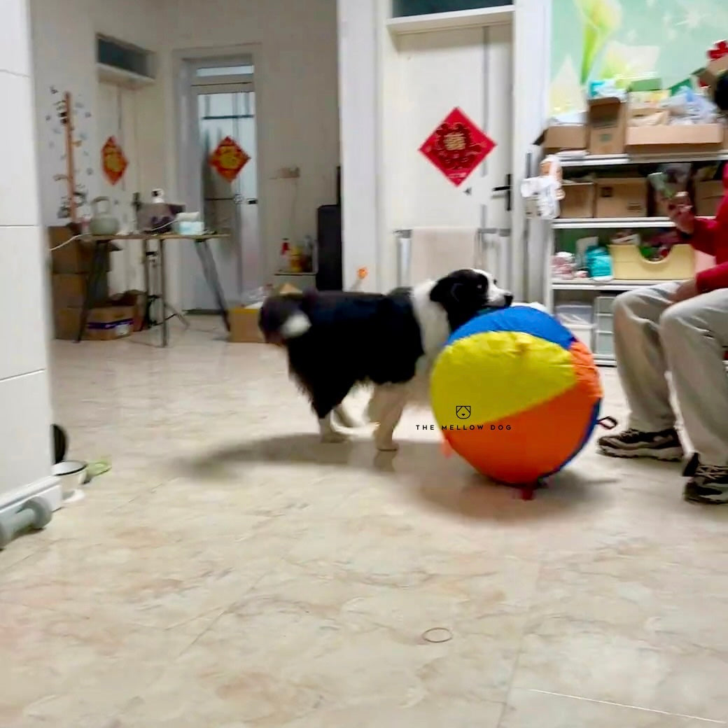 Calming Jumbo Ball – The Mellow Dog