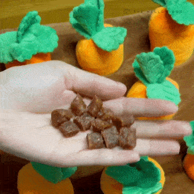 GIF Animado
