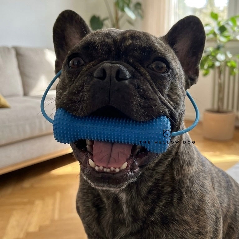 Calming Assistant