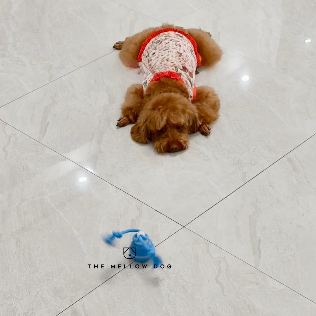 Motion Ball