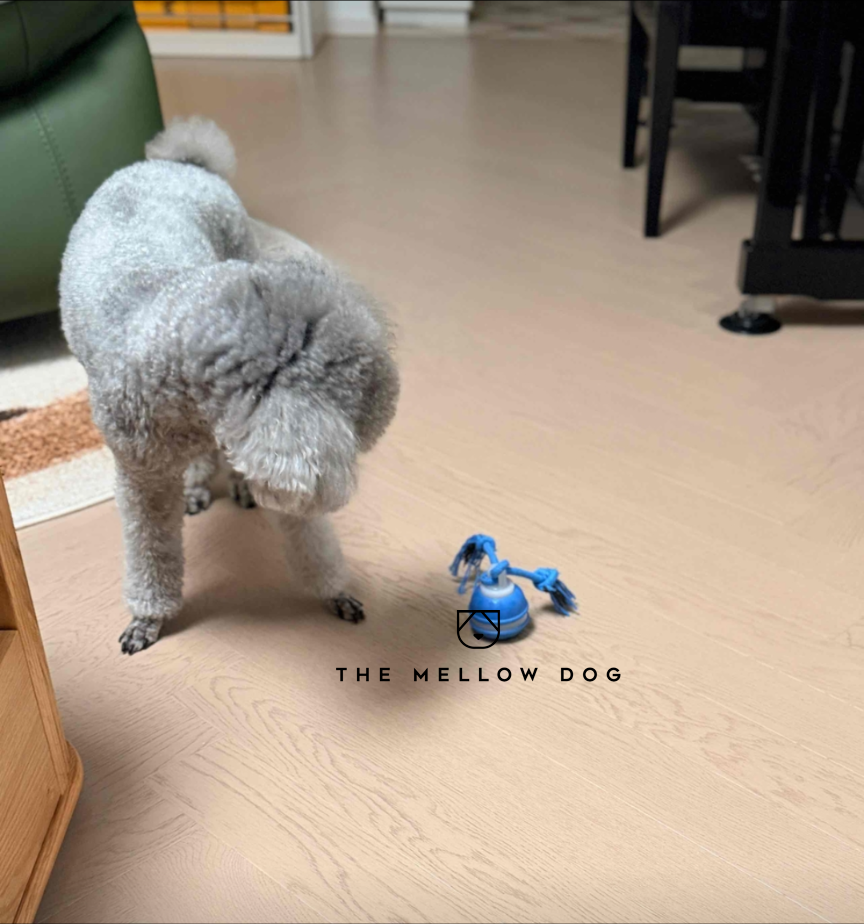 Motion Ball