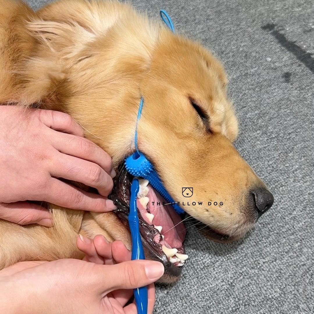 Calming Assistant