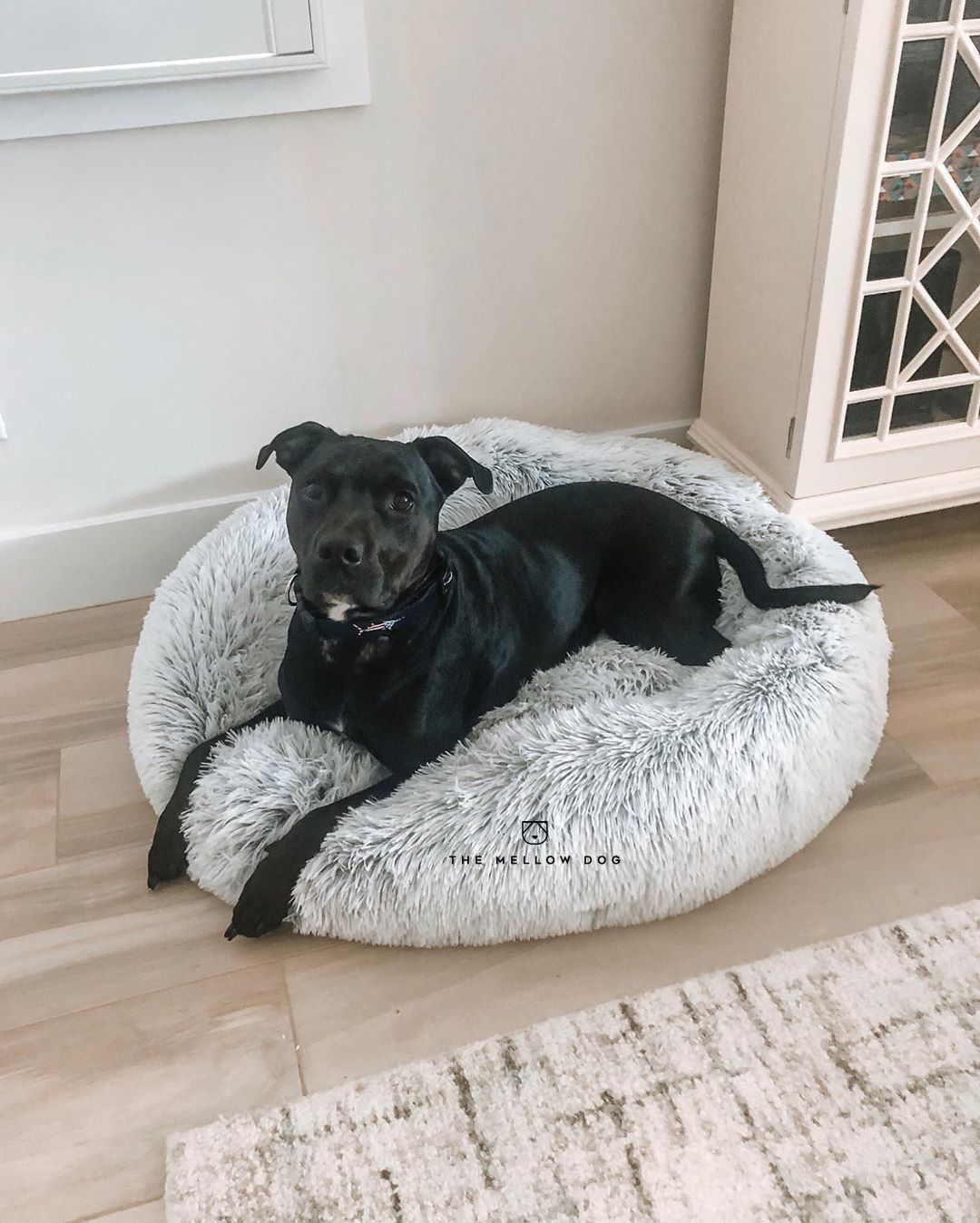 Calming Pillow – The Mellow Dog