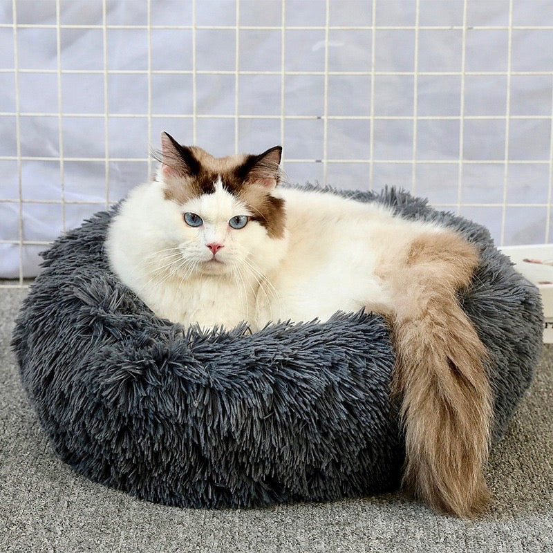 Calming Cat Bed