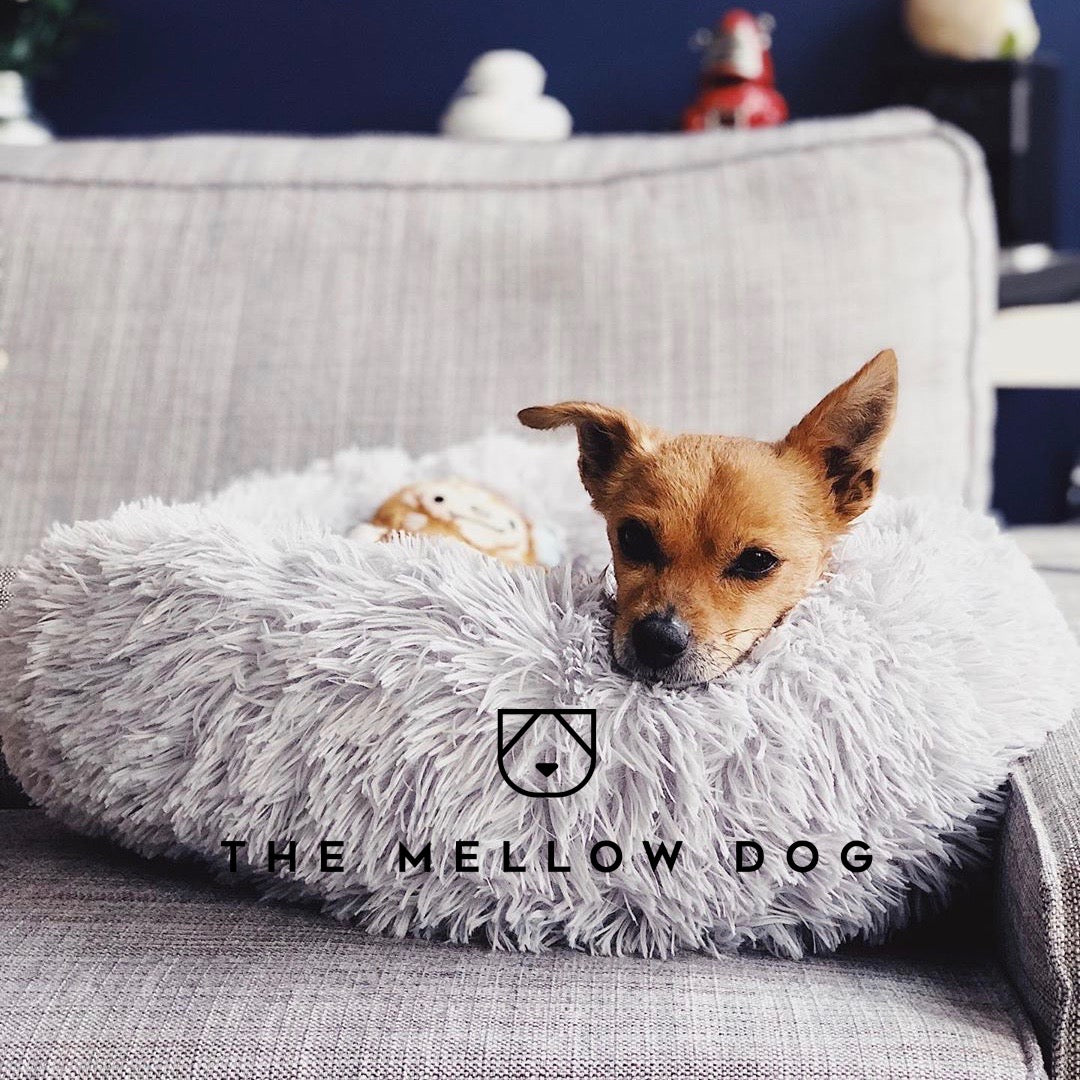 The mellow dog sales bed reviews