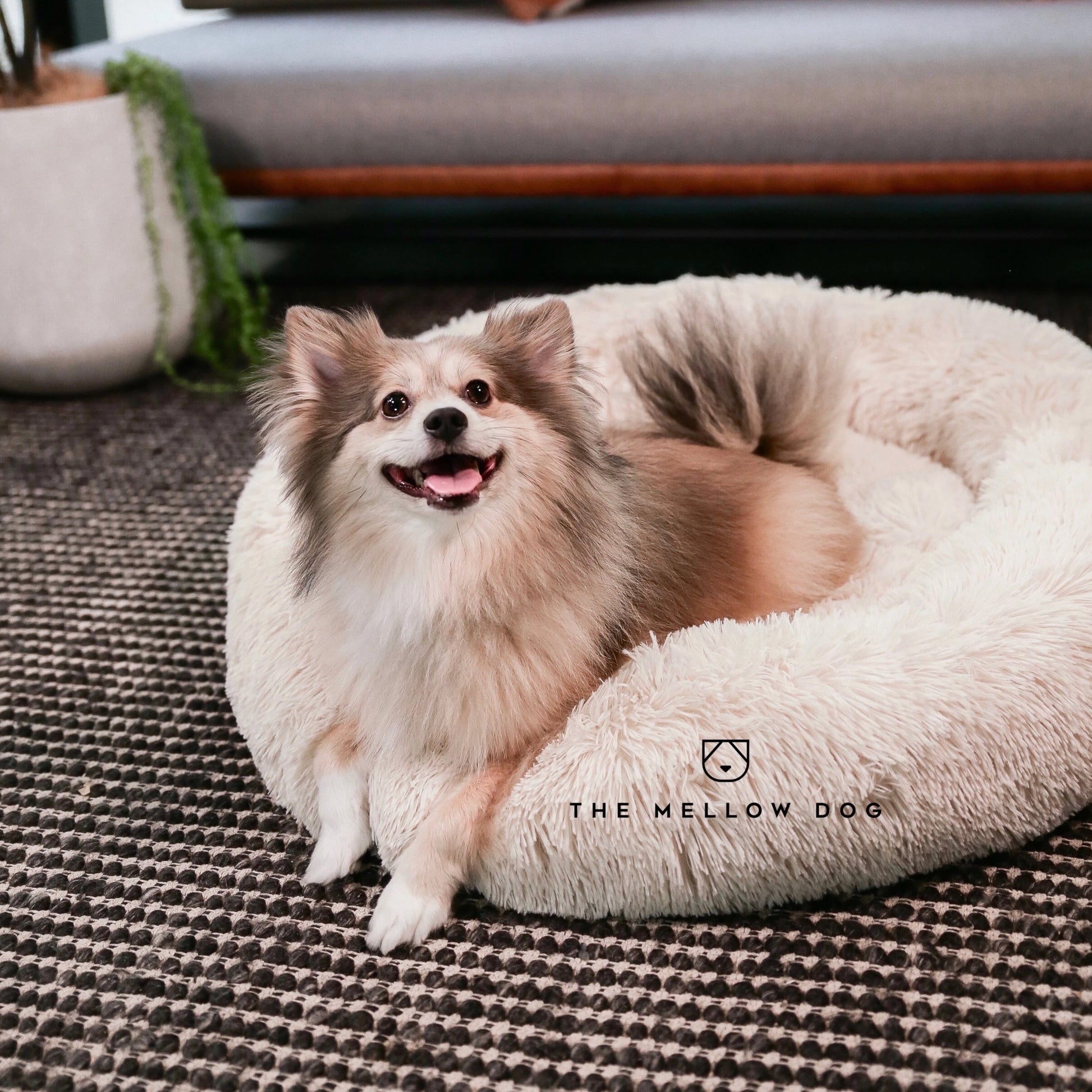 Mellow sales dog bed