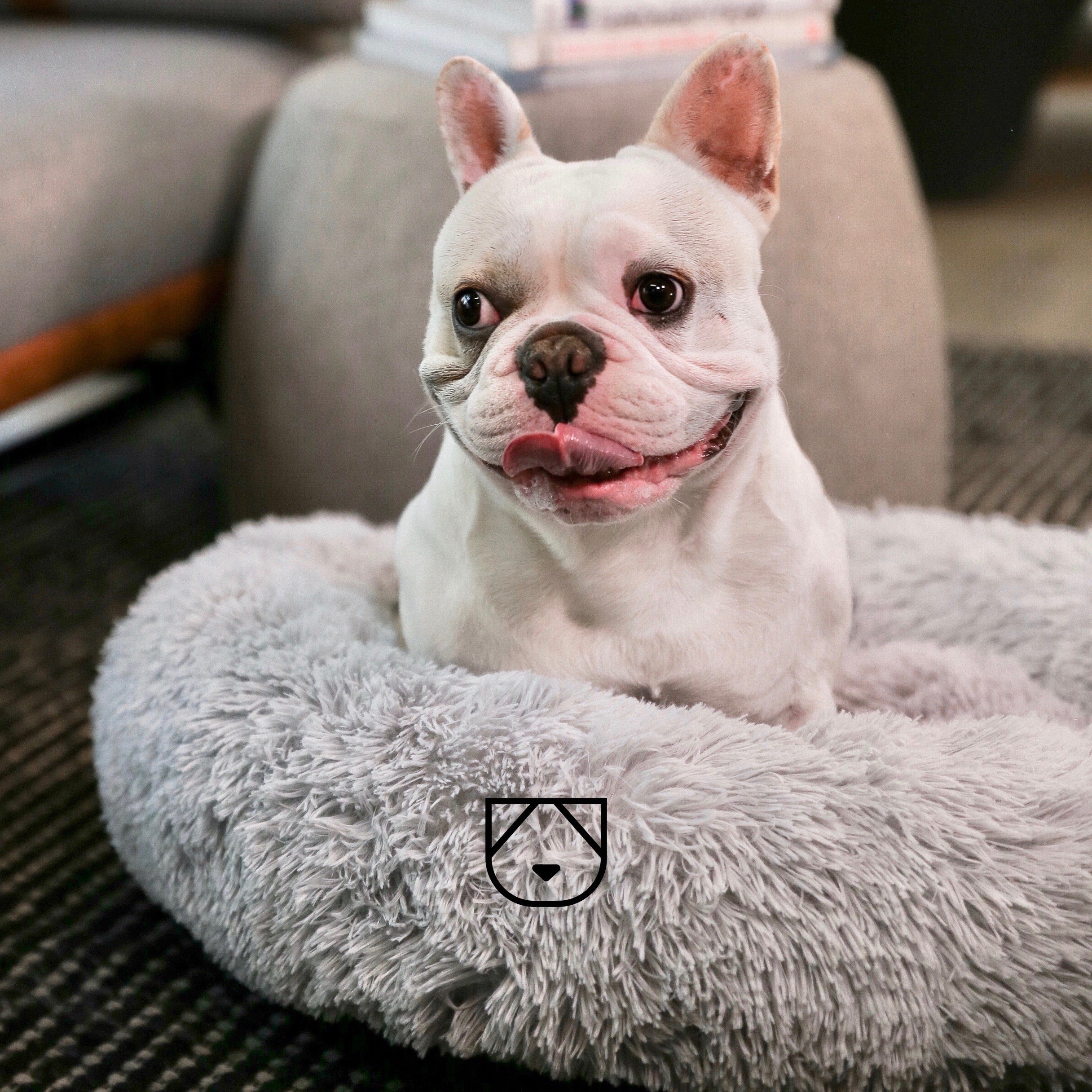 The mellow shop dog bed reviews